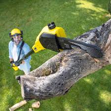  Hugo, MN Tree Removal and Landscaping Services Pros